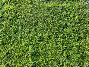 Green Prisons Research Initiative: Call for Experts