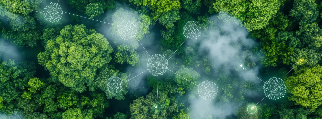 Winter School on Environmental Crimes, 17-21 November 2025, Online Section Banner