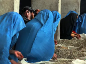 Women sort pistachios by hand at a privately-owned factory in Herat, Afghanistan