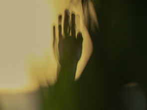 Technical Assistance in Building Capacity