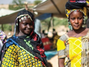 Merit - Quantitative Report Mali