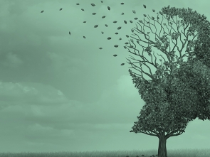 Handbook to combat CBRN disinformation