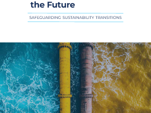 Crime-Proofing the Future: Safeguarding Sustainability Transitions