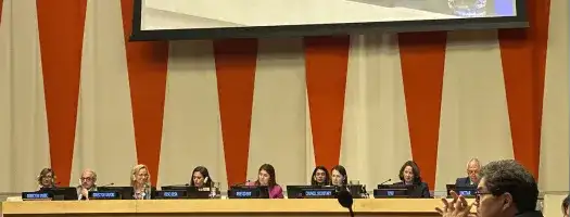 ECOSOC UNICRI event