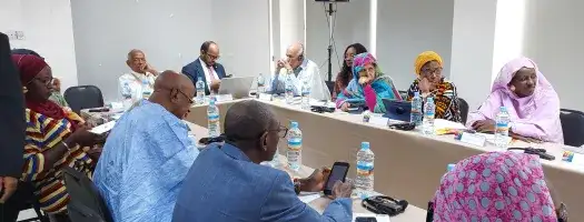 Atelier de renforcement des capacités pour les représentants des organisations de la société civile sur l'intégration d’une perspective de genre dans les initiatives de Prévention de l’Extrémisme Violent